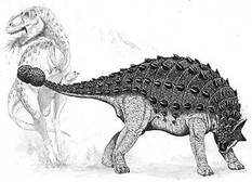 How Saichania may have looked